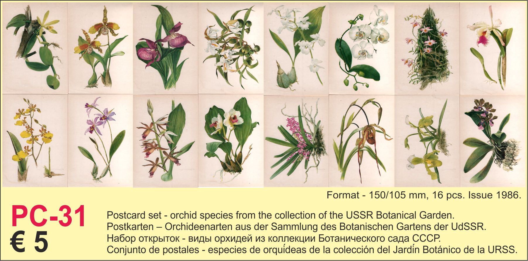 Postcards Orchids USSR flowers